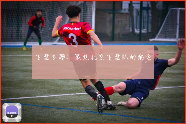 飞盘专题：聚焦北京飞盘队的配合