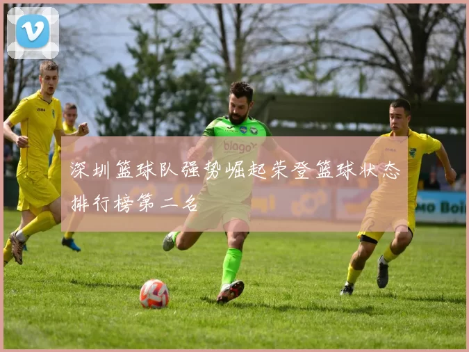 深圳篮球队强势崛起荣登篮球状态排行榜第二名