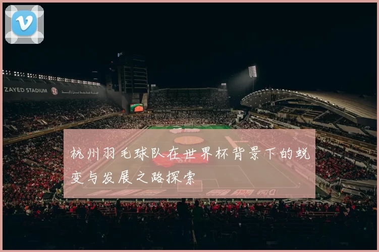 杭州羽毛球队在世界杯背景下的蜕变与发展之路探索