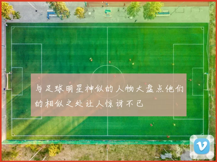与足球明星神似的人物大盘点他们的相似之处让人惊讶不已