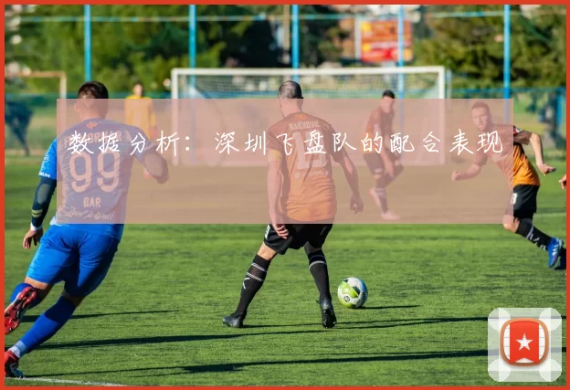 数据分析：深圳飞盘队的配合表现