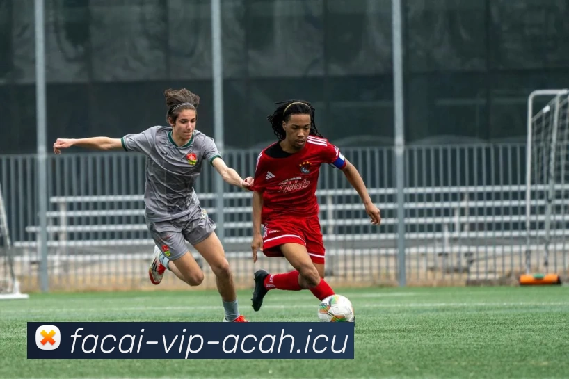 米兰体育品牌故事